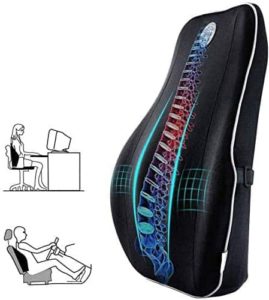 Gugusure Lumbar Back Support for Office Chair