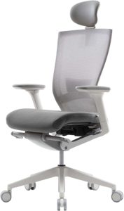 SIDIZ T50 Adjustable Ergonomic Office Desk Chair